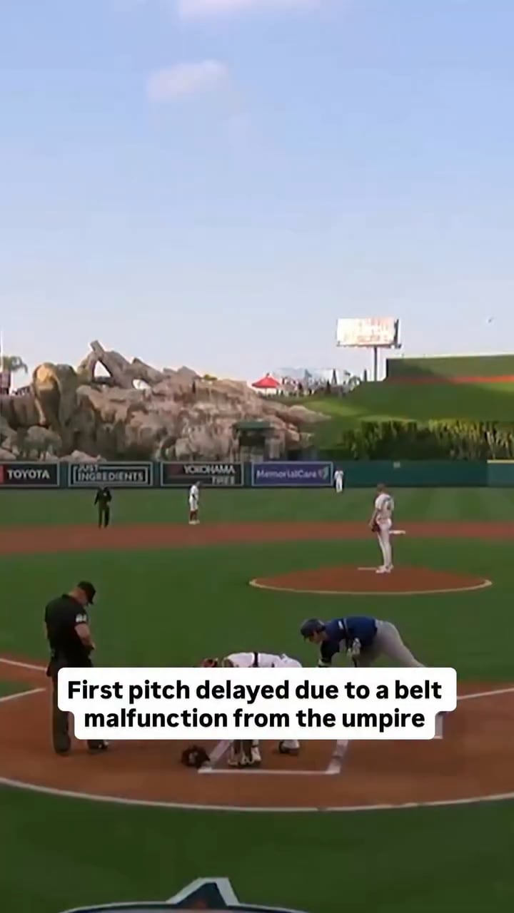 大谷翔平も爆笑！ドジャース対エンゼルス戦で起きた珍ハプニング（海外の反応）