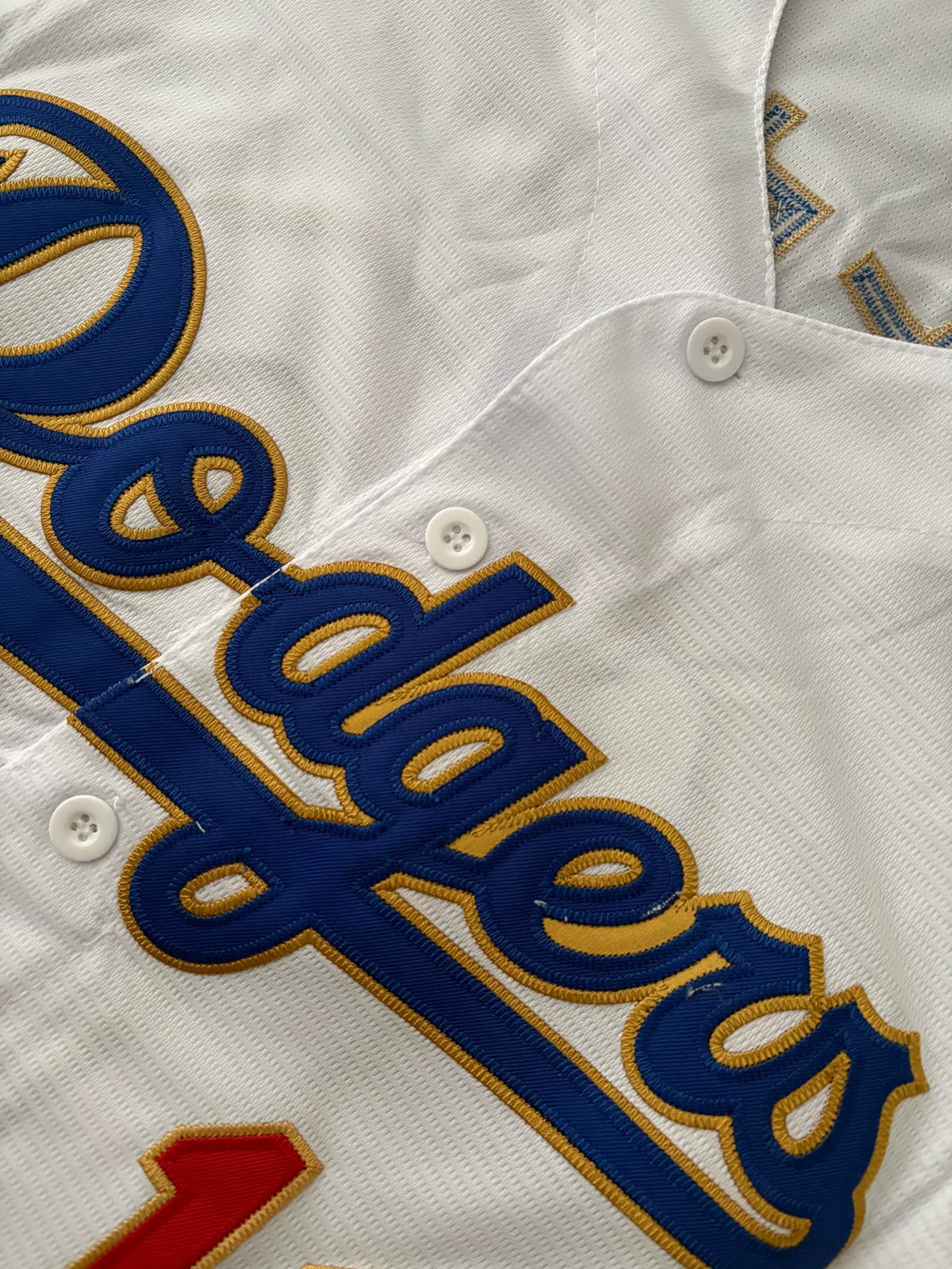 DHGate Yamamoto WS Jersey（海外の反応）
